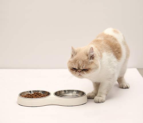 Cat Food Bowls Food Garde 18 8 Stainless Steel Cat Feeding Bowls