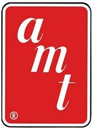 AMT Amtronic Car of the Future 1/25 Scale Model Kit by AMT Ertl