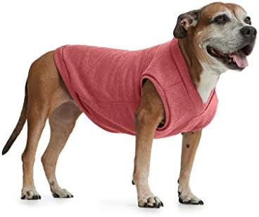 amazon dog sweatshirt