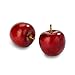FloraCraft 15 Piece Decorative Mini Fruit Red Apple