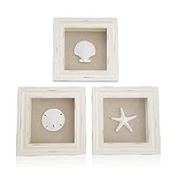 Tumbler Home Beachy Set of 3 Shell Shabby Chic Shadow Boxes- Off White Frame 7" x 7" - Starfish, Sand Dollar and Clam Shell Mounted on Fabric Background