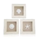 Tumbler Home Beachy Set of 3 Shell Shabby Chic Shadow Boxes- Off White Frame 7" x 7" - Starfish, Sand Dollar and Clam Shell Mounted on Fabric Background