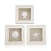 Tumbler Home Beachy Set of 3 Shell Shabby Chic Shadow Boxes- Off White Frame 7" x 7" - Starfish, Sand Dollar and Clam Shell Mounted on Fabric Background primary