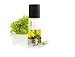 Olive Oil Mister - Oil Olive Sprayer Creates A Thin and Even Coat Of Oil On Salads, Breads, and More - 3.25 Ounces, by Mastrad (Black)