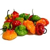 #1 Sweet Pepper Seeds, Aji Cachucha, Aji Dulce, Ajicito, Aji Gustoso. (30 Seeds)