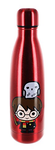 Harry Potter Aluminum Water Bottle, Harry Potter w/ Hedwig