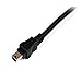 StarTech 6 FT USB Y Cable for External Hard Drive