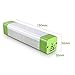 EzGoo LED Camping Light (LED Camping Light Stick)