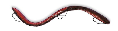 Ike-Con The Big 8ight Weedless Worm Fishing Lure, 8-Inch, Red Shad