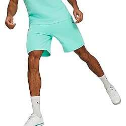 PUMA Men's Standard Mercedes AMG Petronas