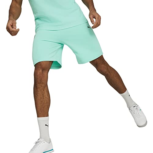 PUMA Men's Standard Mercedes AMG Petronas