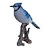Hi-Line Gift Ltd Blue Jay on Branch Statue