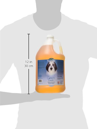 Bio-Groom Groom 'N Fresh Dog and Cat Conditioning Shampoo, 1-Gallon