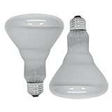 GE Lighting 18011 65-Watt Soft White Reflector Flood BR30 Light Bulb, 2-Pack