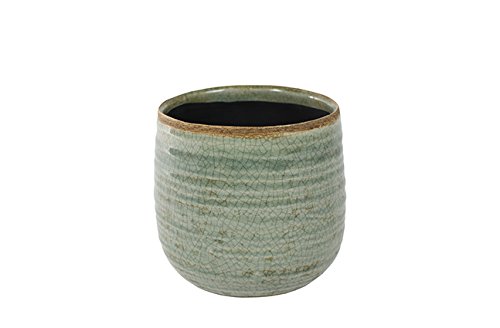 Ivyline 136327 D14 H12 Como Mint Pot - Green
