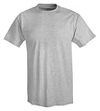 Hanes Men's X-Temp Performance T-Shirt