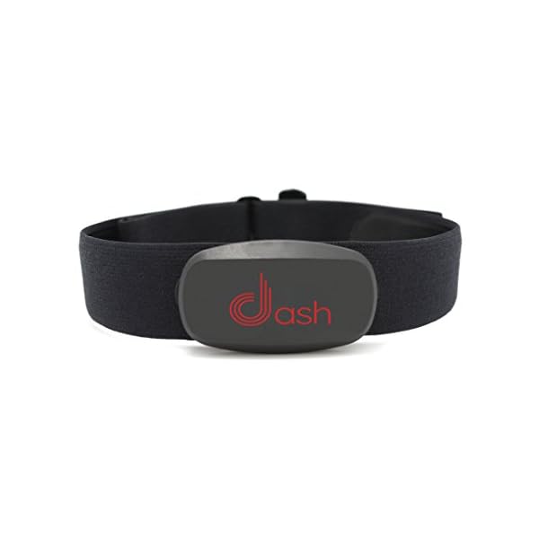 dash heart rate monitor chest strap