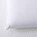 Roost Sleep Conforma Cushion Firm Memory Foam Pillow, Queen