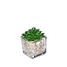CYS EXCEL Glass Cube Vase, Cubic Flower Vase, Squared Votive Candle Holder, Centerpiece Cubed Vase, Pack of 12