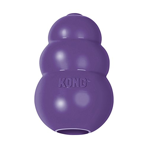 KONG Senior Small