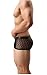 Men's Sexy Mesh Sheer Boxer Briefs Underwear Black Trunks Underpants