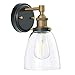Linea di Liara Fiorentino Black and Gold Wall Sconce Lighting Fixture Farmhouse Bathroom Wall Sconce Bedroom Wall Lighting and Hallway Wall Light with Clear Glass Shade, LED Bulb Included, UL Listed