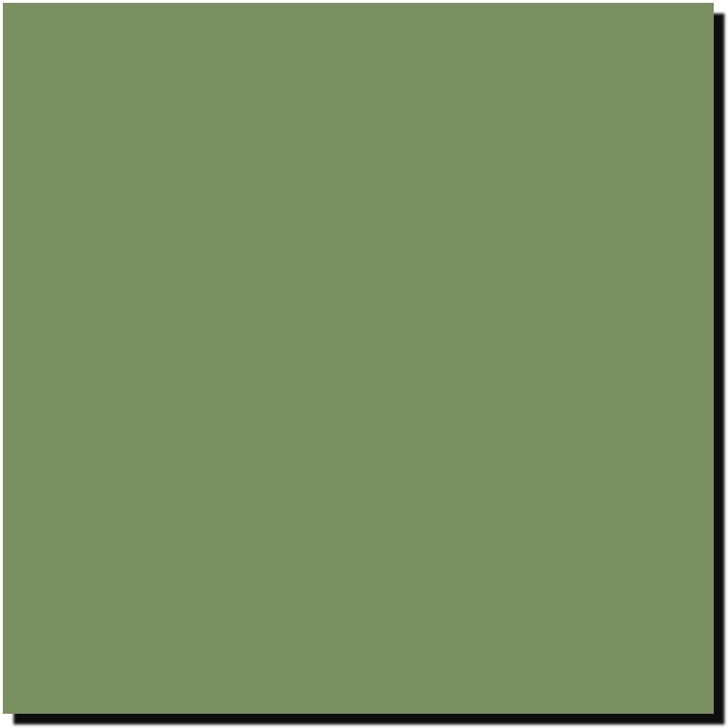 Mission 30ml (1oz) Raf Interior Green Models MMP-079