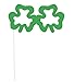 Unique St. Patrick's Day Photo Booth Props, Assorted, Multicolor