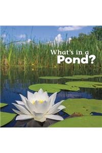 What's in a Pond? (What's In There?)