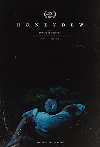 Amazon 映画ポスター Honeydew 21 ハニーデュー 21 テーマポスター A3サイズ インテリア 壁紙用 絵画 アート 壁紙ポスター アートフレーム ポスター オンライン通販