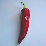 Hungarian Paprika Hot Peppers Seeds