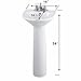 Renovators Supply Ondine 16