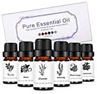 Aromatherapy Essential Oils 10ML 6 Pack Nature Lavender Tea Tree Lemon Sweet Orange Peppermint Rosemary for Diffuser Humidifier Massage