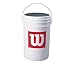 WILSON A1010 Blem Practice and Soft Compression Baseballs Bucket (Three Dozen)