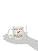 Funny Boss Lady 11OZ Coffee Mug Novelty, Office, Job