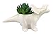 VanEnjoy Cute Cartoon Dinosaur Ceramic Succulent Planter, Water Culture Hydroponics Bonsai Cactus Flower Pot,Air Plant Vase Holder Desktop Decorative Organizer (Triceratops, White)