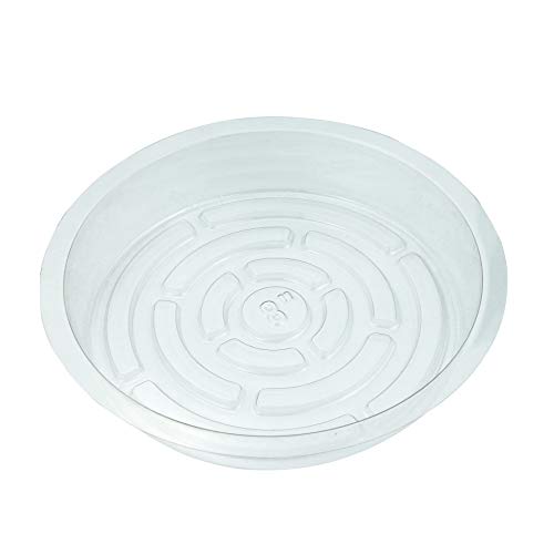 PHYEX 12 Pack of 8 inch Clear Plastic Plant Saucers, Durable Plant Tray for Indoor and Outdoor Plants - Thumbnail 3