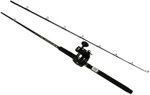 line counter rod and reel combos