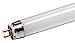 Bulbrite 585112 - F12T4/41K - 12 Watt T4 Cool White Fluorescent Light Bulb, 17" Length