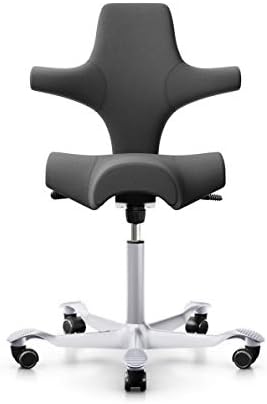 HAG Capisco Chair with Saddle Seat (Gray with Silver Base)