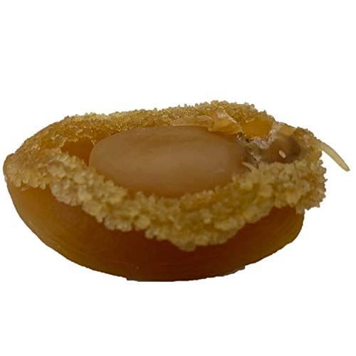 4 Dried+Seafood+Supreme+Dalian+Abalone