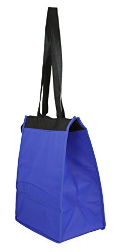 Ensign Peak Insulated Lunch Tote with Zipper Closure. Hot & Cold soft cooler with open front pocket. (Royal)