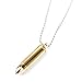 Large Stainless Steel Bullet Pendant Necklace Pill Case Holder Cremation Urn Case- Golden