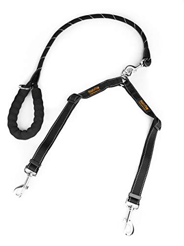 dual pet leash