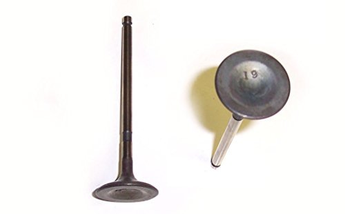 DNJ Engine Components IV162 Valves - Intake