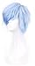 Simpleyourstyle Ice Blue Anime Cosplay Wigs Short Heat Resistant Synthetic Full Wigs for Men 30cm 11.8inch 160g