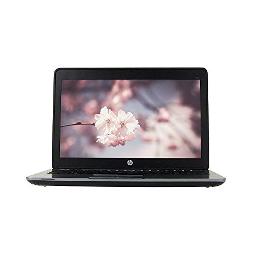HP EliteBook 820 G2 12.5in Laptop, Intel Core i5-5300U 2.3GHz, 8GB Ram, 256GB Solid State Drive, Windows 10 Pro 64bit (Renewed)