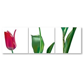 Wall26-3 Panel Canvas Wall Art- Beautiful Flowers -Giclee Painting Wall Bedroom Living Room Home Decoration - 12"x12"x3 Panels