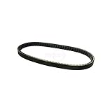 Rotary 13057 Torque Converter Belt