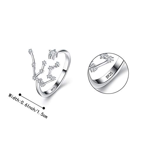 BriLove 925 Sterling Silver CZ Statement Ring for Women -"Aquarius" Horoscope Zodiac 12 Constellation Astrology Adjustable Ring